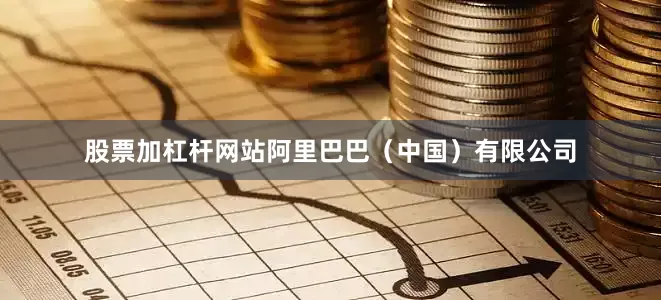股票加杠杆网站阿里巴巴（中国）有限公司